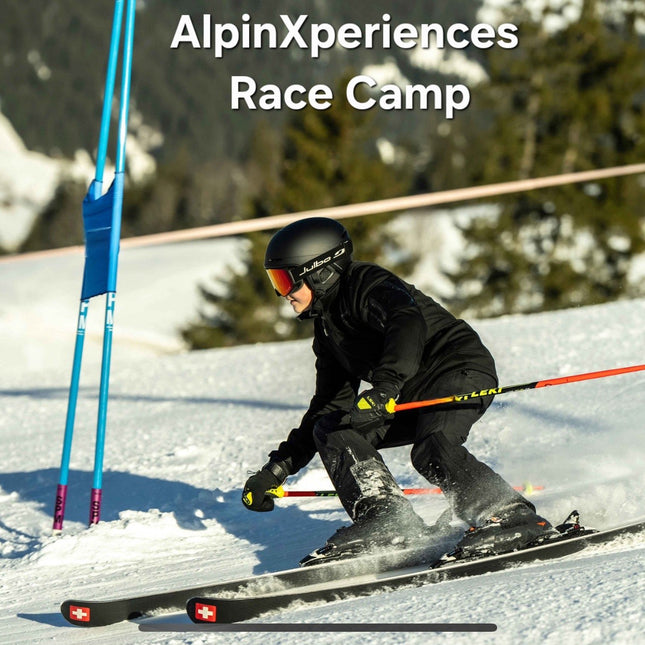 Special for Zannie - Skiracer V1